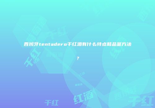 西班牙tentadero干红酒有什么特点和品鉴方法？