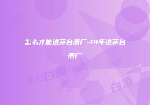 怎么才能进茅台酒厂-14年进茅台酒厂