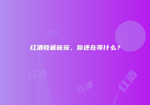 红酒收藏新宠，你还在等什么？