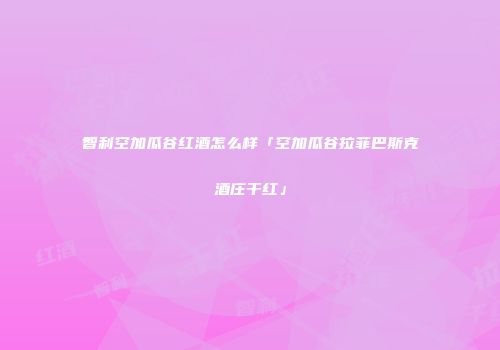 智利空加瓜谷红酒怎么样「空加瓜谷拉菲巴斯克酒庄干红」