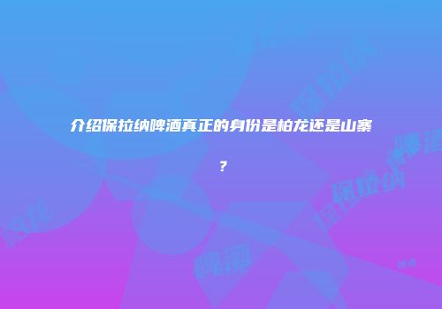 介绍保拉纳啤酒真正的身份是柏龙还是山寨？