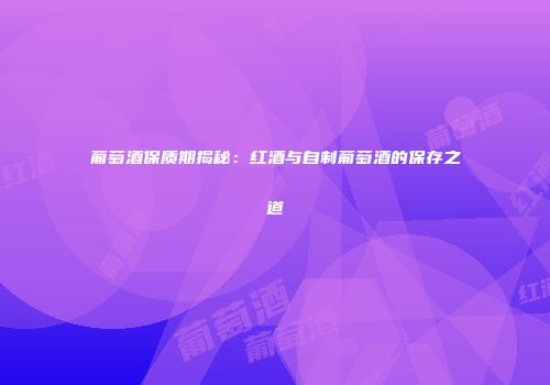 葡萄酒保质期揭秘：红酒与自制葡萄酒的保存之道