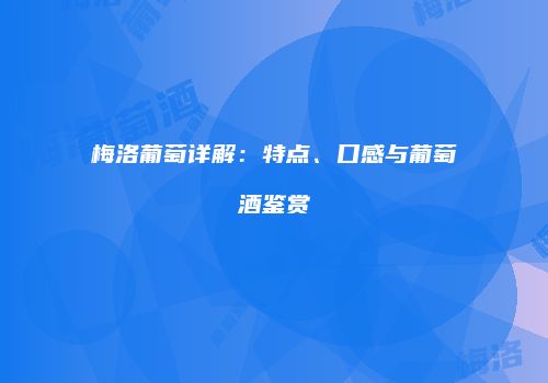 梅洛葡萄详解：特点、口感与葡萄酒鉴赏