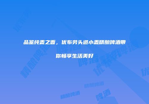 品鉴纯麦之香，优布劳头道小麦精酿啤酒带你畅享生活美好