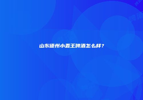 山东德州小麦王啤酒怎么样？