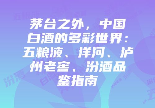 茅台之外，中国白酒的多彩世界：五粮液、洋河、泸州老窖、汾酒品鉴指南