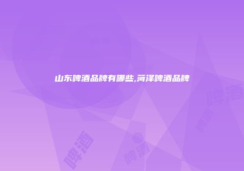山东啤酒品牌有哪些,菏泽啤酒品牌