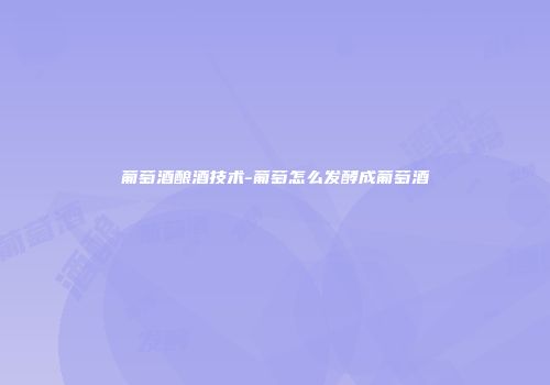 葡萄酒酿酒技术-葡萄怎么发酵成葡萄酒