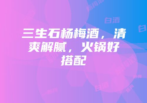 三生石杨梅酒，清爽解腻，火锅好搭配
