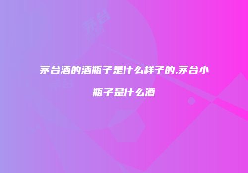 茅台酒的酒瓶子是什么样子的,茅台小瓶子是什么酒