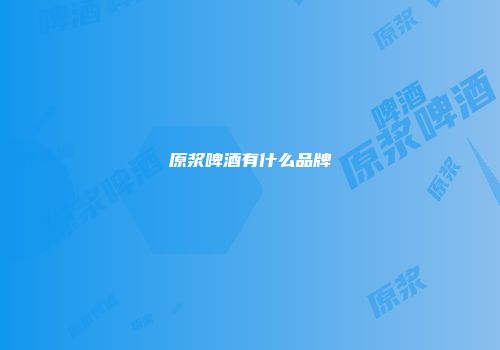 原浆啤酒有什么品牌