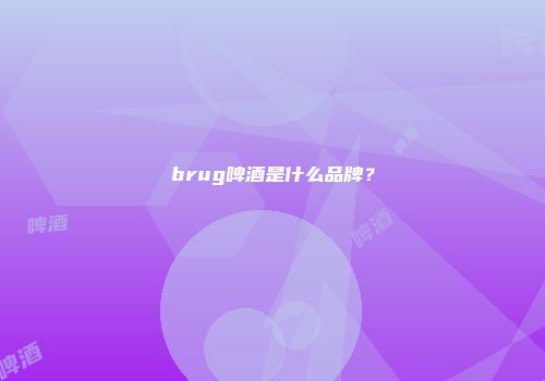 brug啤酒是什么品牌？