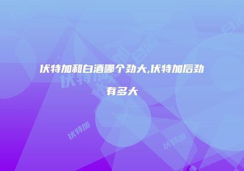 伏特加和白酒哪个劲大,伏特加后劲有多大