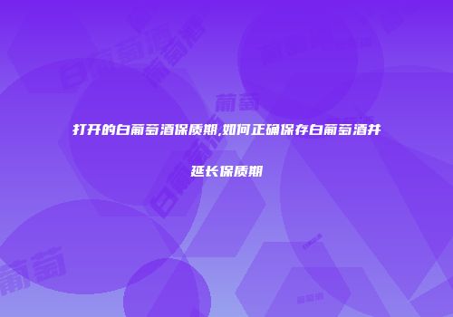 打开的白葡萄酒保质期,如何正确保存白葡萄酒并延长保质期