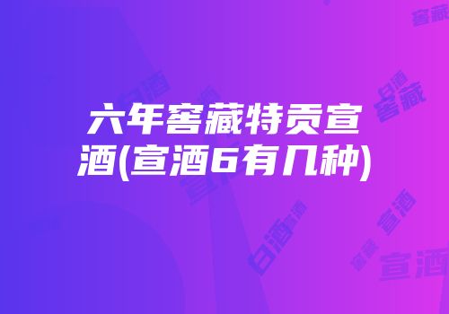 六年窖藏特贡宣酒(宣酒6有几种)