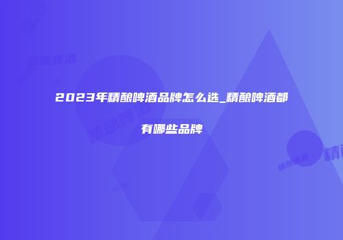 2023年精酿啤酒品牌怎么选_精酿啤酒都有哪些品牌