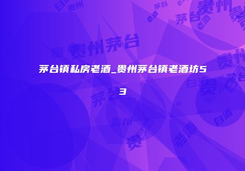 茅台镇私房老酒_贵州茅台镇老酒坊53