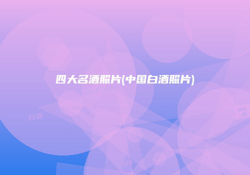 四大名酒照片(中国白酒照片)