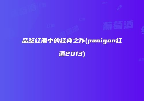 品鉴红酒中的经典之作(panigon红酒2013)