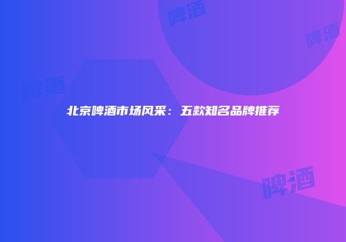北京啤酒市场风采：五款知名品牌推荐