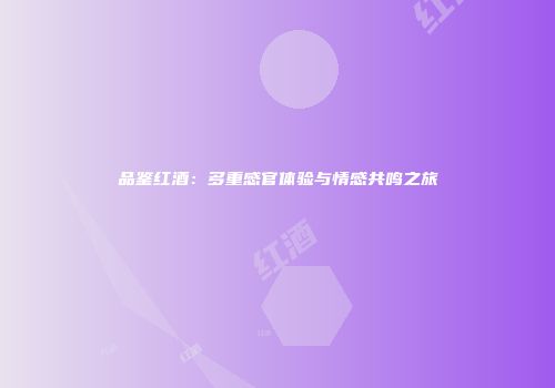 品鉴红酒：多重感官体验与情感共鸣之旅