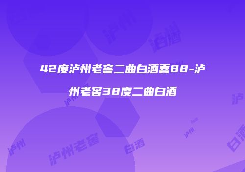 42度泸州老窖二曲白酒喜88-泸州老窖38度二曲白酒