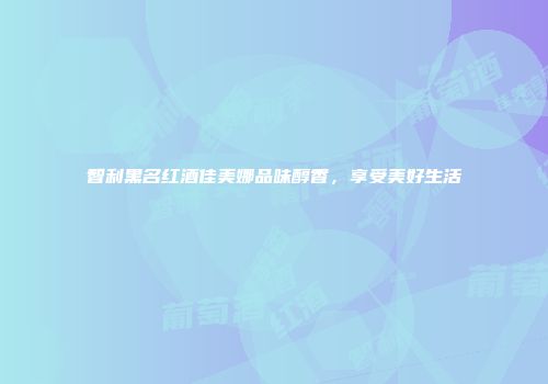 智利黑名红酒佳美娜品味醇香，享受美好生活