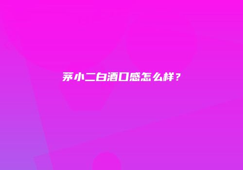 茅小二白酒口感怎么样？