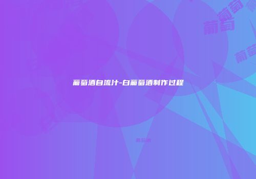 葡萄酒自流汁-白葡萄酒制作过程