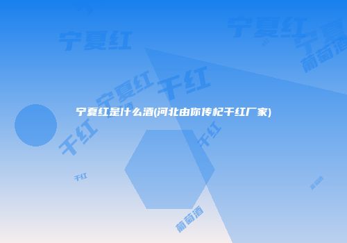 宁夏红是什么酒(河北由你传杞干红厂家)