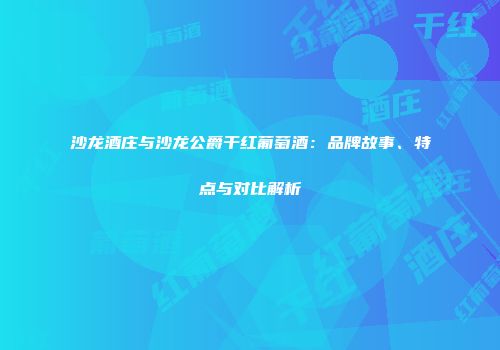 沙龙酒庄与沙龙公爵干红葡萄酒：品牌故事、特点与对比解析