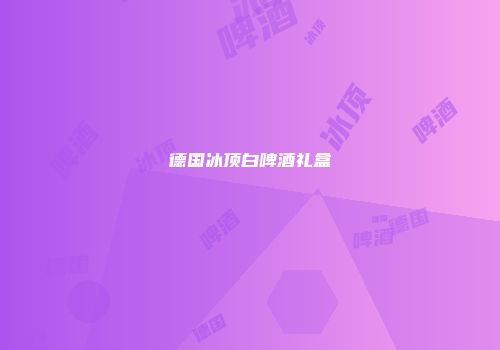 德国冰顶白啤酒礼盒