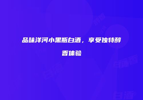 品味洋河小黑瓶白酒，享受独特醇香体验