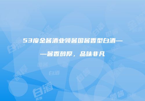53度金酱酒业领酱国酱香型白酒——酱香醇厚，品味非凡