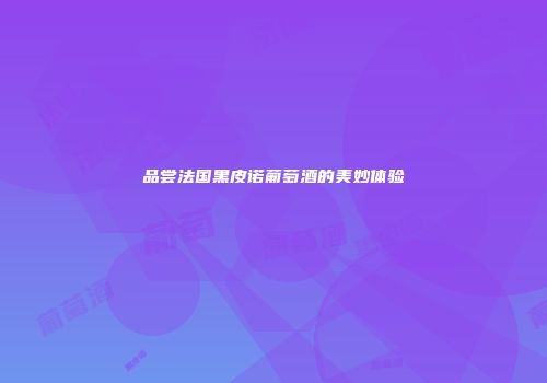 品尝法国黑皮诺葡萄酒的美妙体验