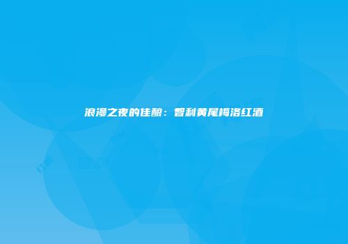 浪漫之夜的佳酿：智利黄尾梅洛红酒