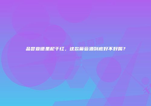 品尝查德里尼干红，这款葡萄酒到底好不好喝？