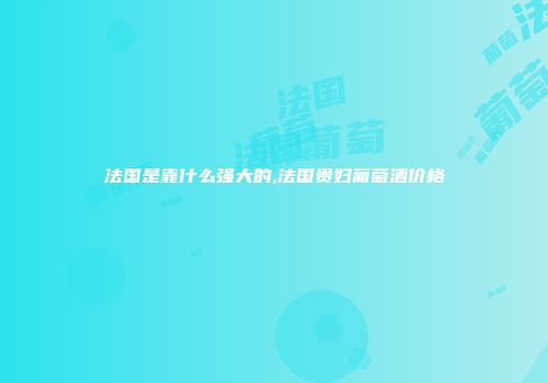 法国是靠什么强大的,法国贵妇葡萄酒价格