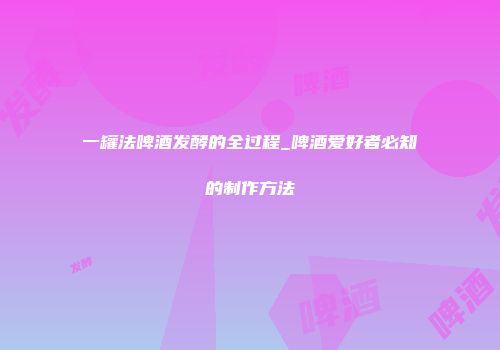 一罐法啤酒发酵的全过程_啤酒爱好者必知的制作方法