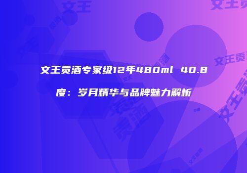 文王贡酒专家级12年480ml 40.8度：岁月精华与品牌魅力解析