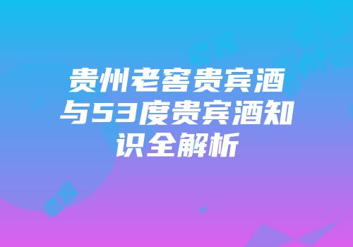 贵州老窖贵宾酒与53度贵宾酒知识全解析