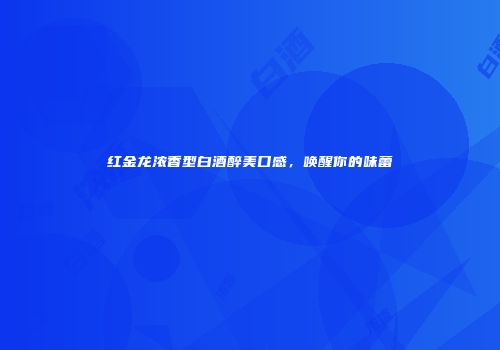红金龙浓香型白酒醉美口感，唤醒你的味蕾