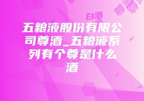 五粮液股份有限公司尊酒_五粮液系列有个尊是什么酒