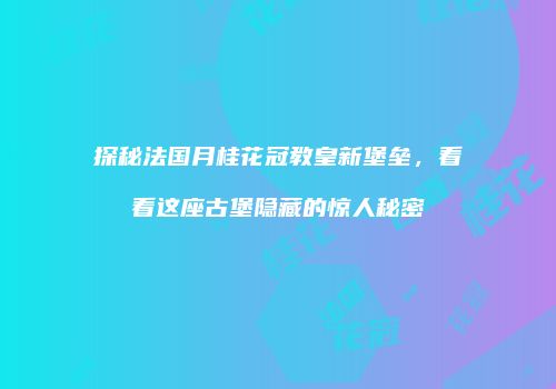 探秘法国月桂花冠教皇新堡垒，看看这座古堡隐藏的惊人秘密