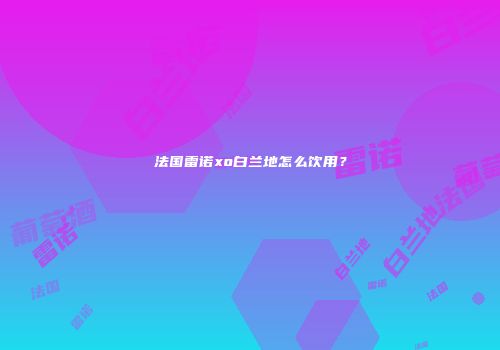 法国雷诺xo白兰地怎么饮用？
