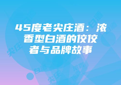 45度老尖庄酒：浓香型白酒的佼佼者与品牌故事