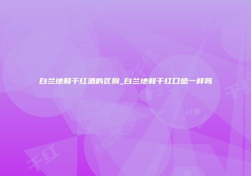 白兰地和干红酒的区别_白兰地和干红口感一样吗