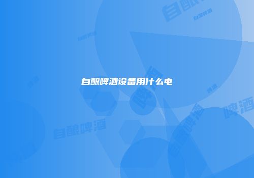 自酿啤酒设备用什么电