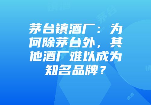 茅台镇酒厂：为何除茅台外，其他酒厂难以成为知名品牌？
