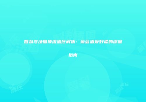 智利与法国顶级酒庄解析：葡萄酒爱好者的深度指南